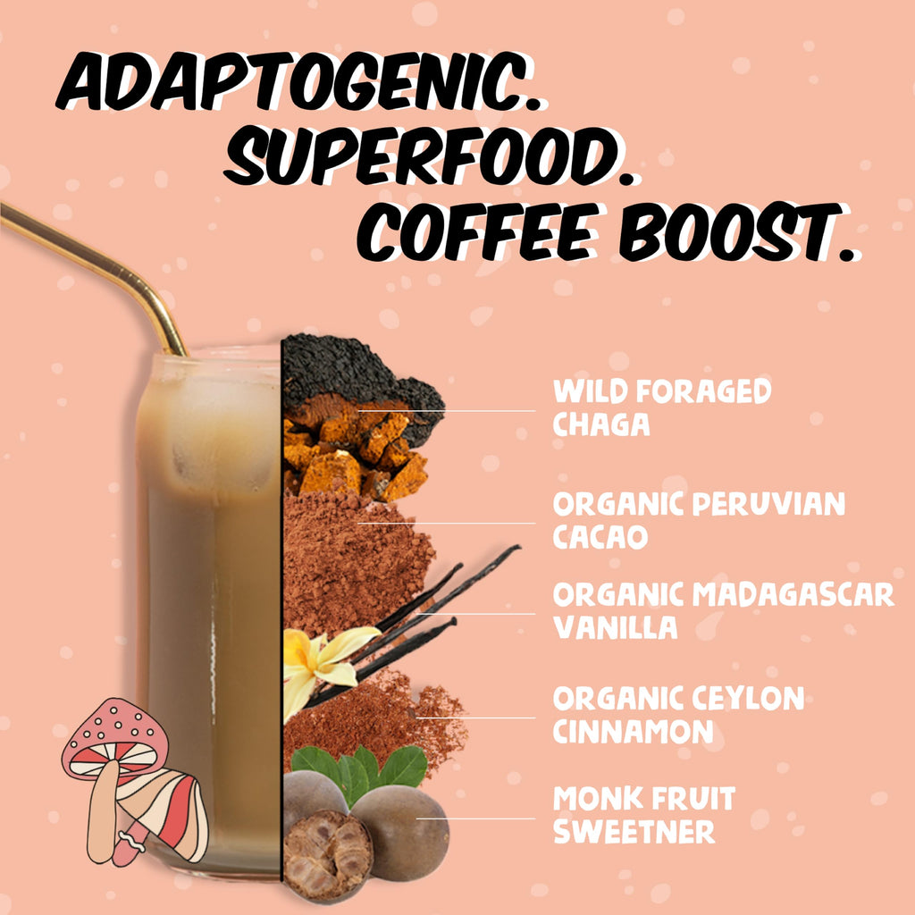 Renude Chagaccino Chaga Mushroom Powder Drink Mix

