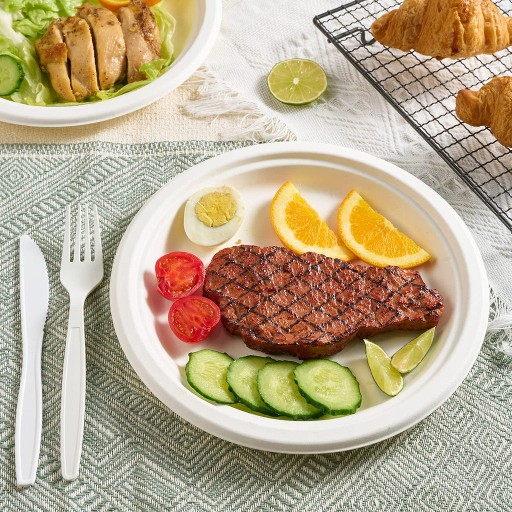 Vplus Bagasse Paper Plates – Compostable Heavy-Duty

