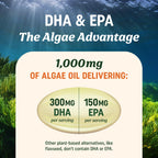 MAV Nutrition Vegan Algae Omega-3 DHA EPA

