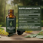 Betterbrand Mullein Drops for Lung Detox - Alcohol-Free

