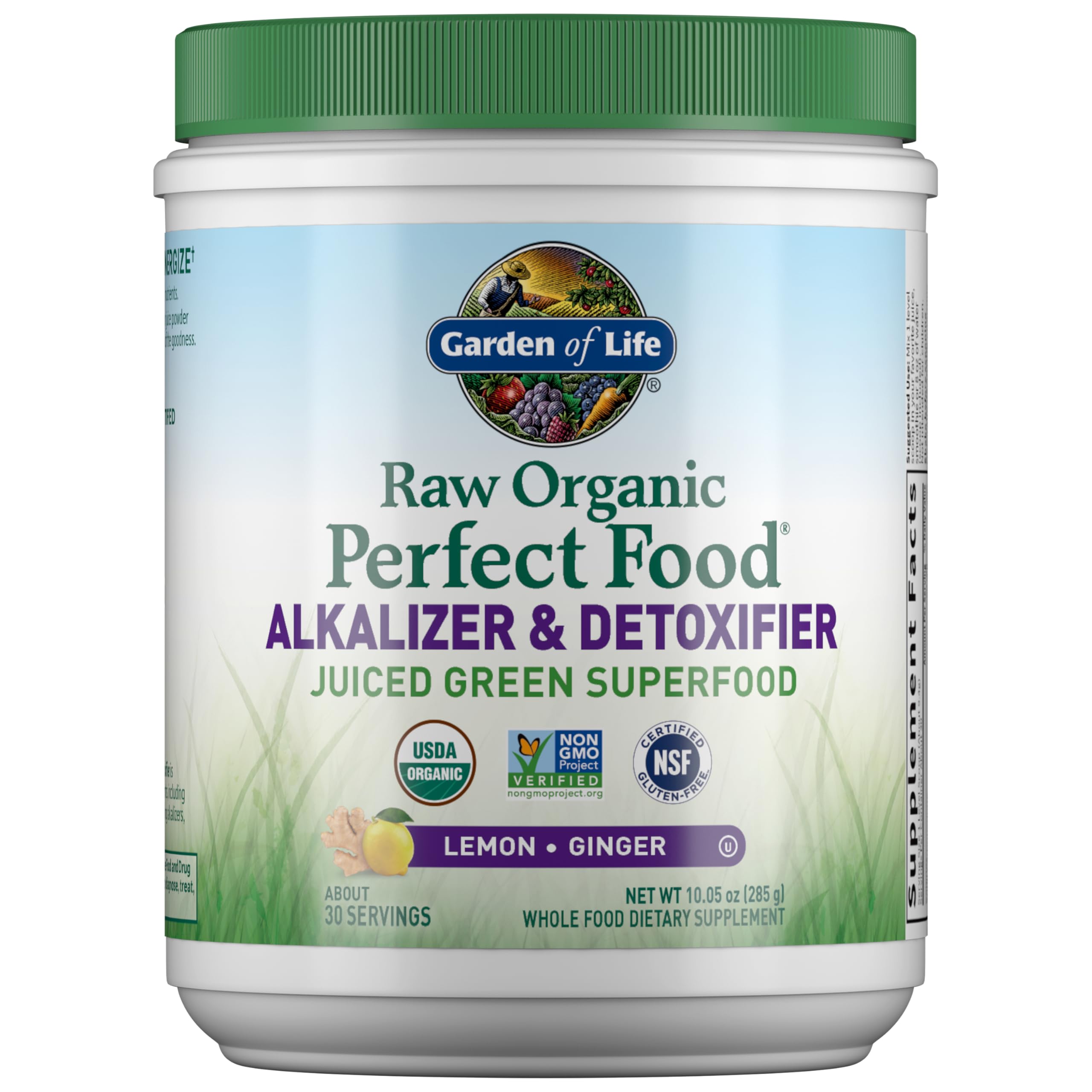 Garden of Life Raw Perfect Food Greens Powder Detoxifier

