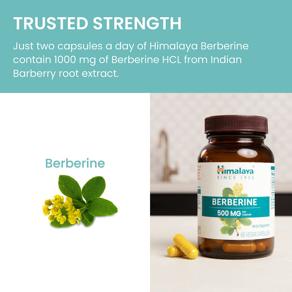 Himalaya Berberine HCL Supplement - Immune & Digestive

