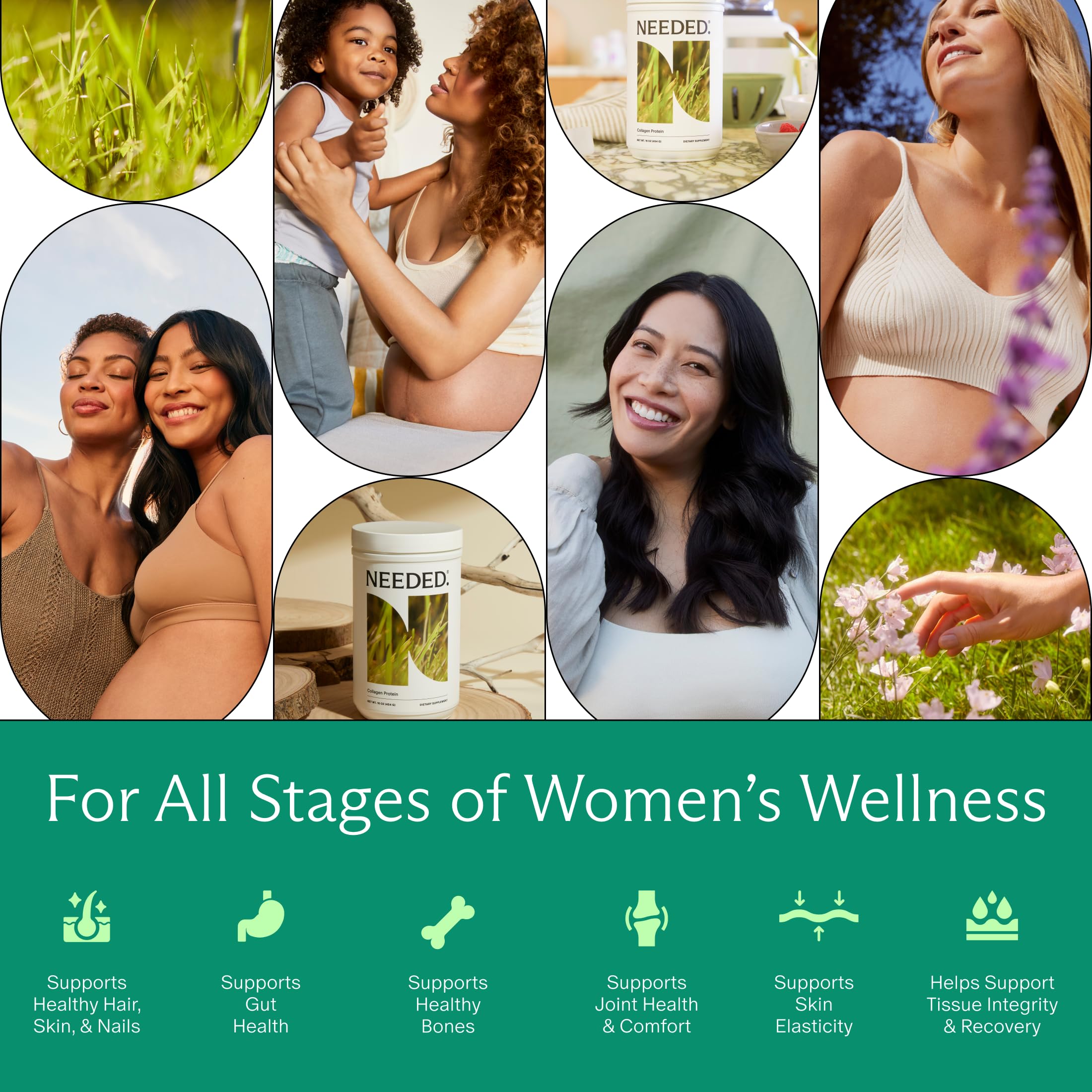 Needed Collagen Protein Powder | Grass-Fed

