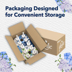 Glade PlugIns Refill Air Freshener with Essential Oils

