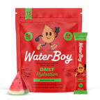 WaterBoy Daily Hydration Electrolyte Powder Drink Mix

