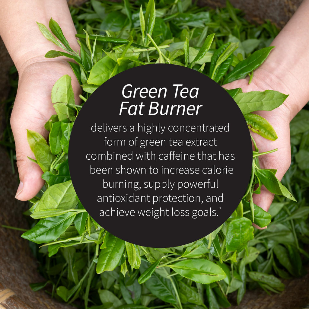 Applied Nutrition Green Tea Fat Burner Soft-Gels Metabolism

