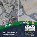 RMR Brands Mold & Mildew Removal Kit | Disinfectant Spray

