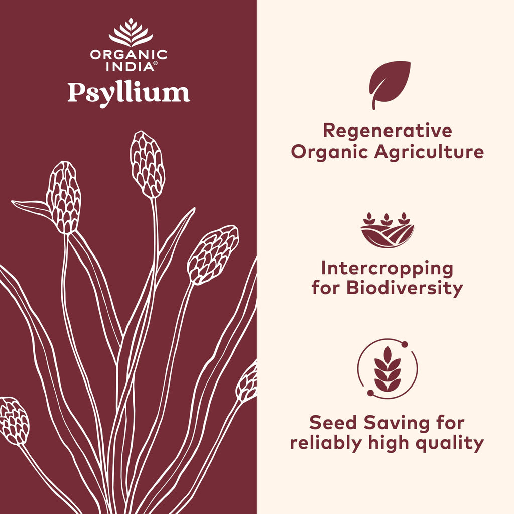 Psyllium Husk Fiber Organic India

