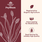 Psyllium Husk Fiber Organic India

