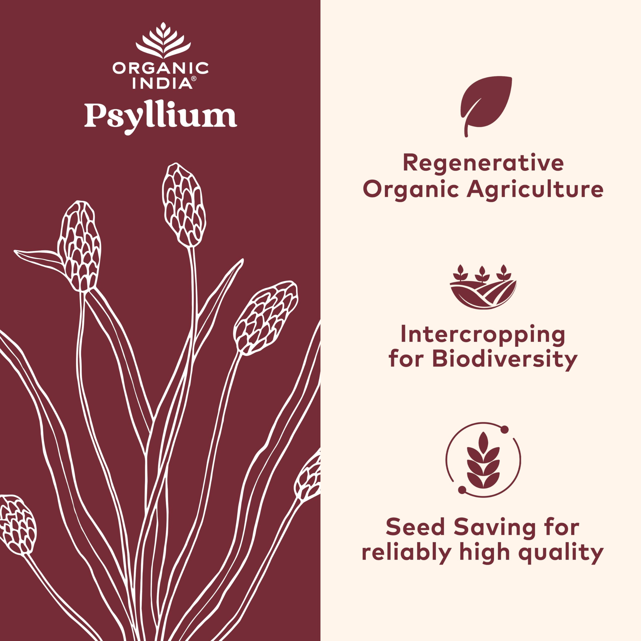 Psyllium Husk Fiber Organic India


