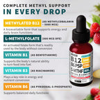Methylated B Complex Liquid Drops - Sublingual Vitamin B

