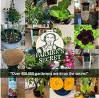 Farmer’s Secret Chelated Liquid Iron for Lawns | Shop Now


