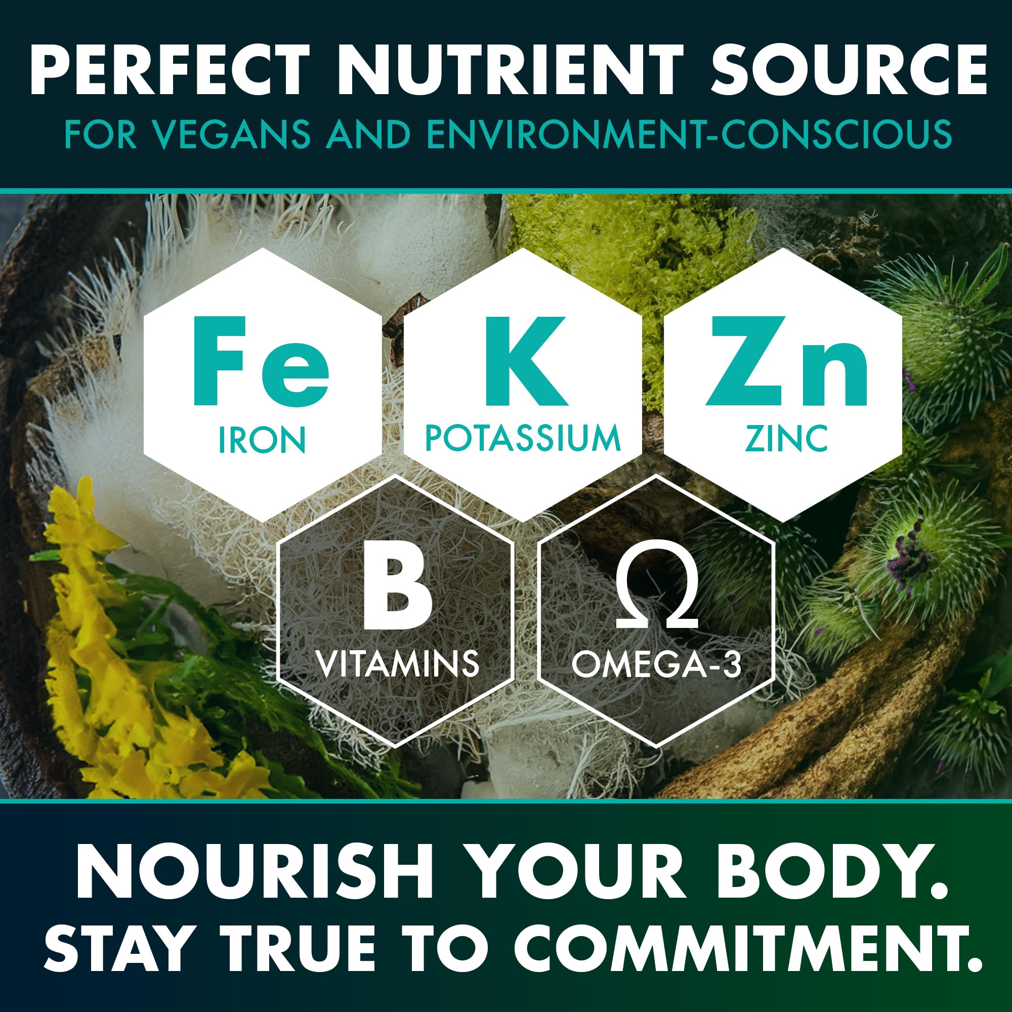 Secret Element Sea Moss Capsules - Vegan, Non-GMO


