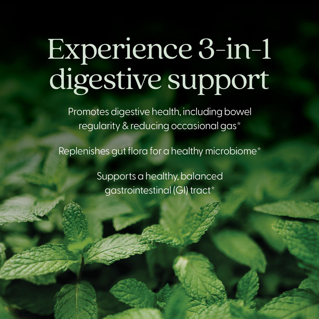 New Chapter All-Flora Probiotic for Digestive Health


