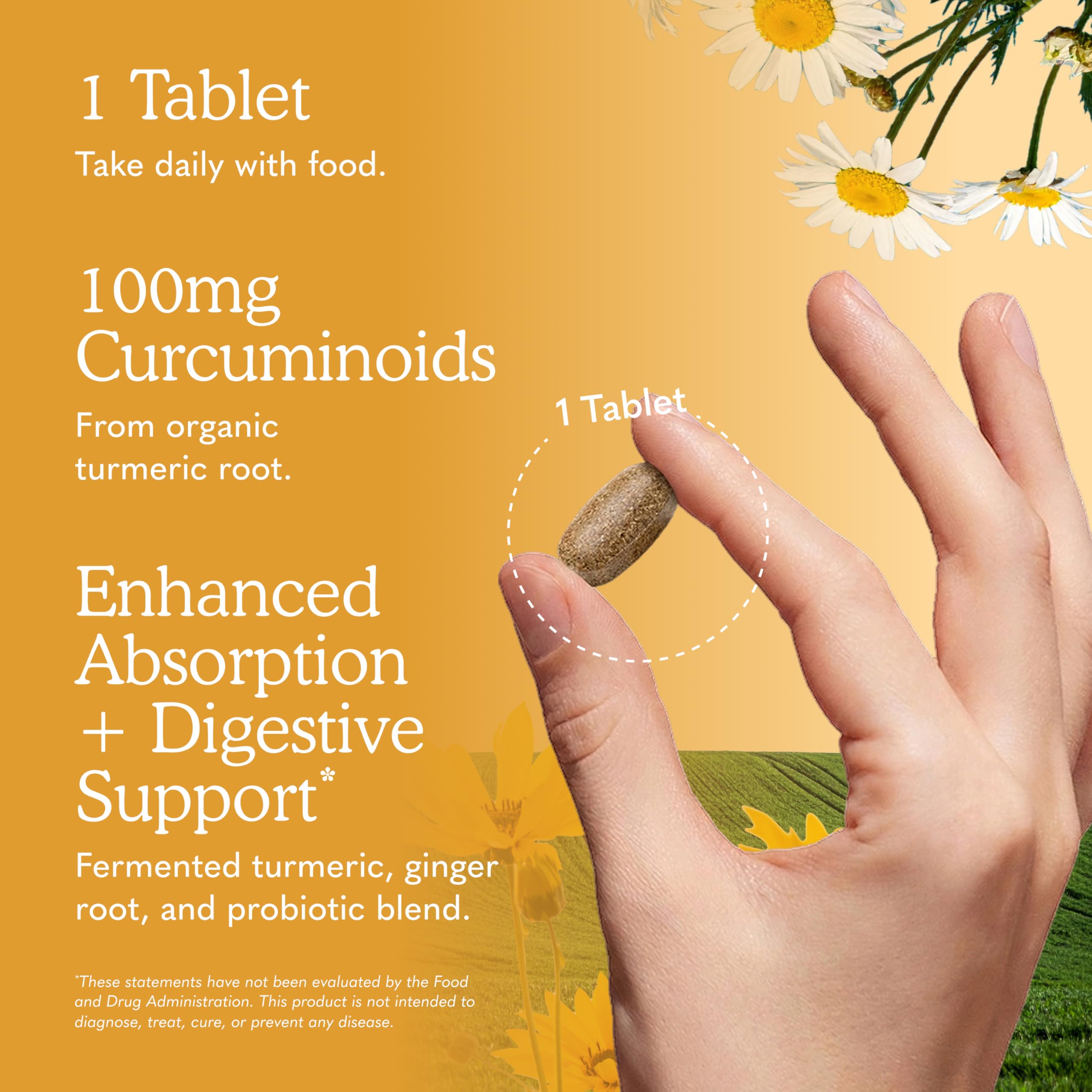 Garden of Life Organic Turmeric with Probiotics – Supplement


