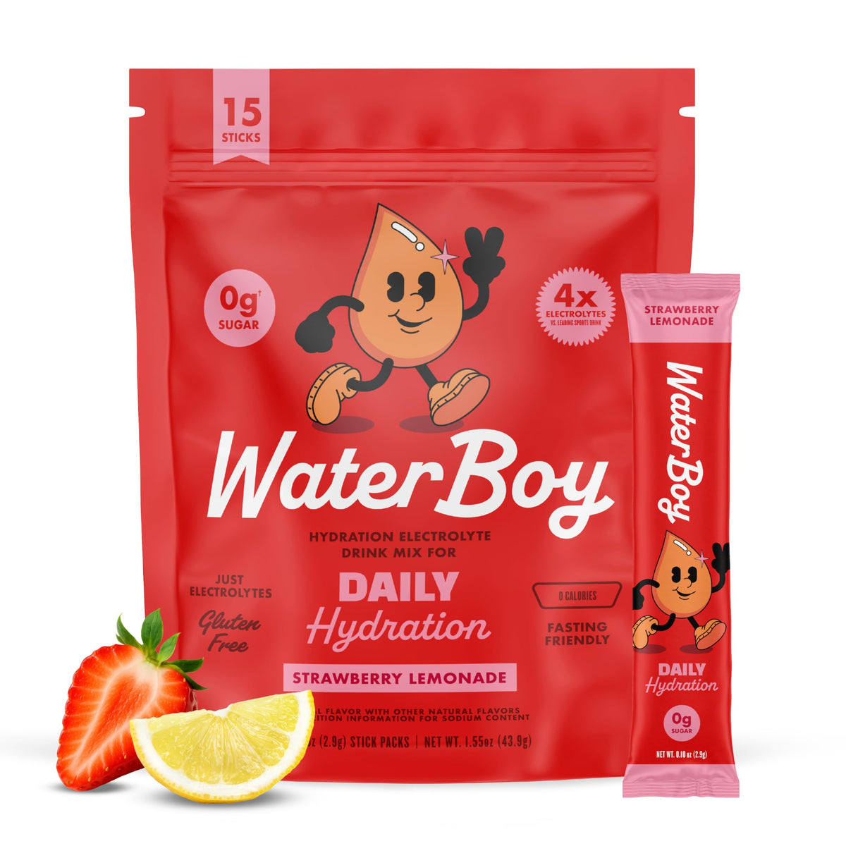 WaterBoy Daily Hydration Electrolyte Powder Drink Mix