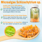 Vegan Omega-3 Gummies with Algae EPA DHA & Vitamin D3 K2

