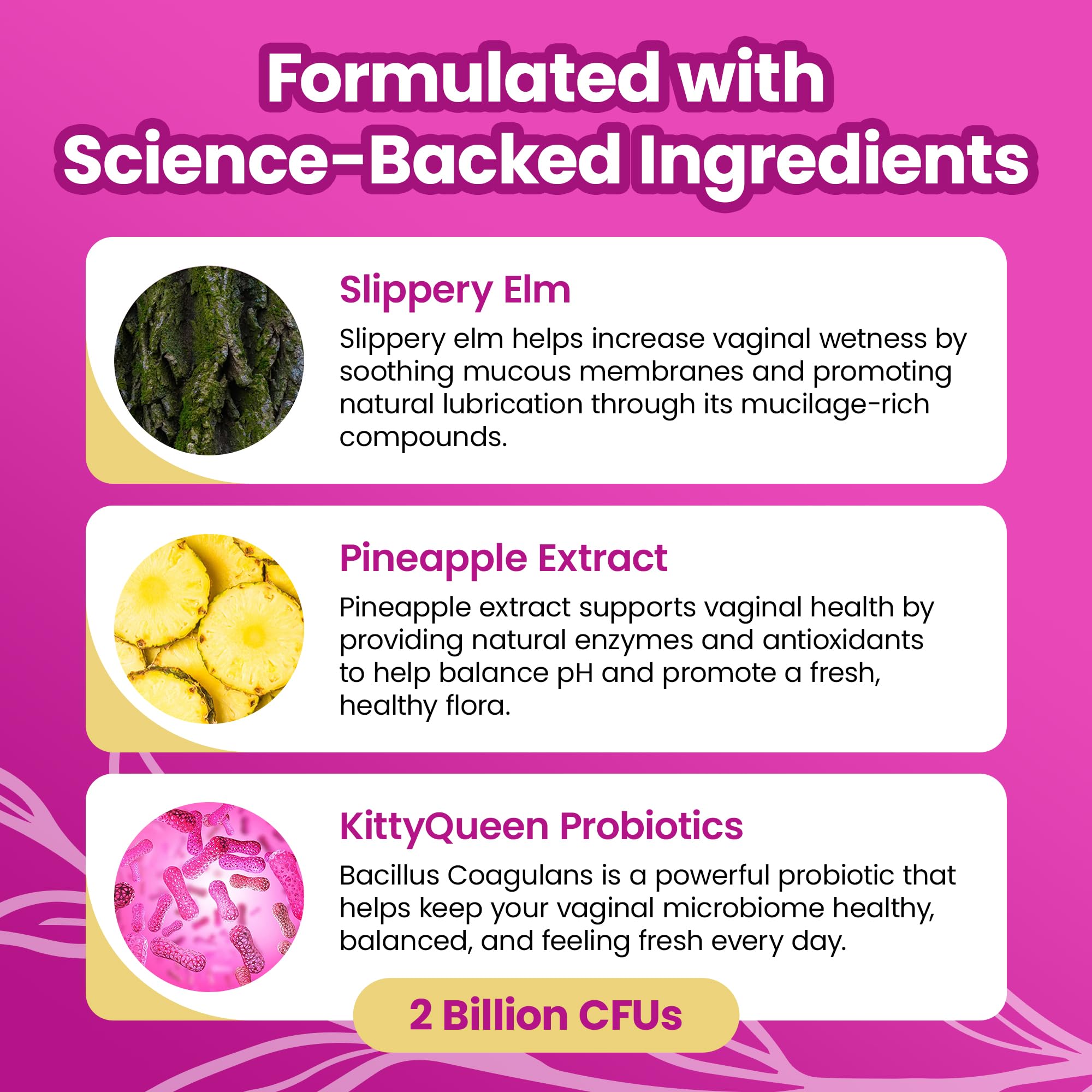 KITTYQUEEN Slippery Kitty Probiotic Gummies

