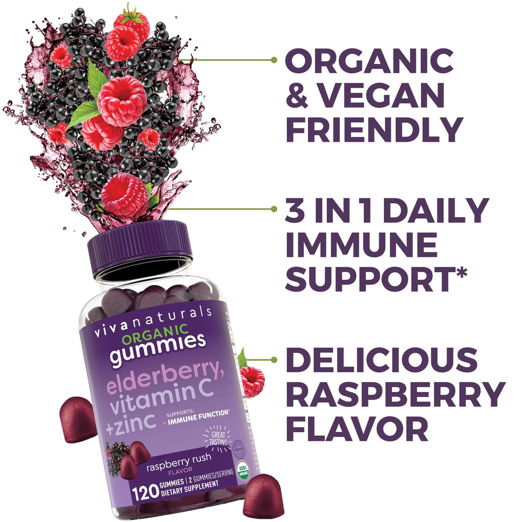 Viva Naturals Immune Support Gummies | Organic

