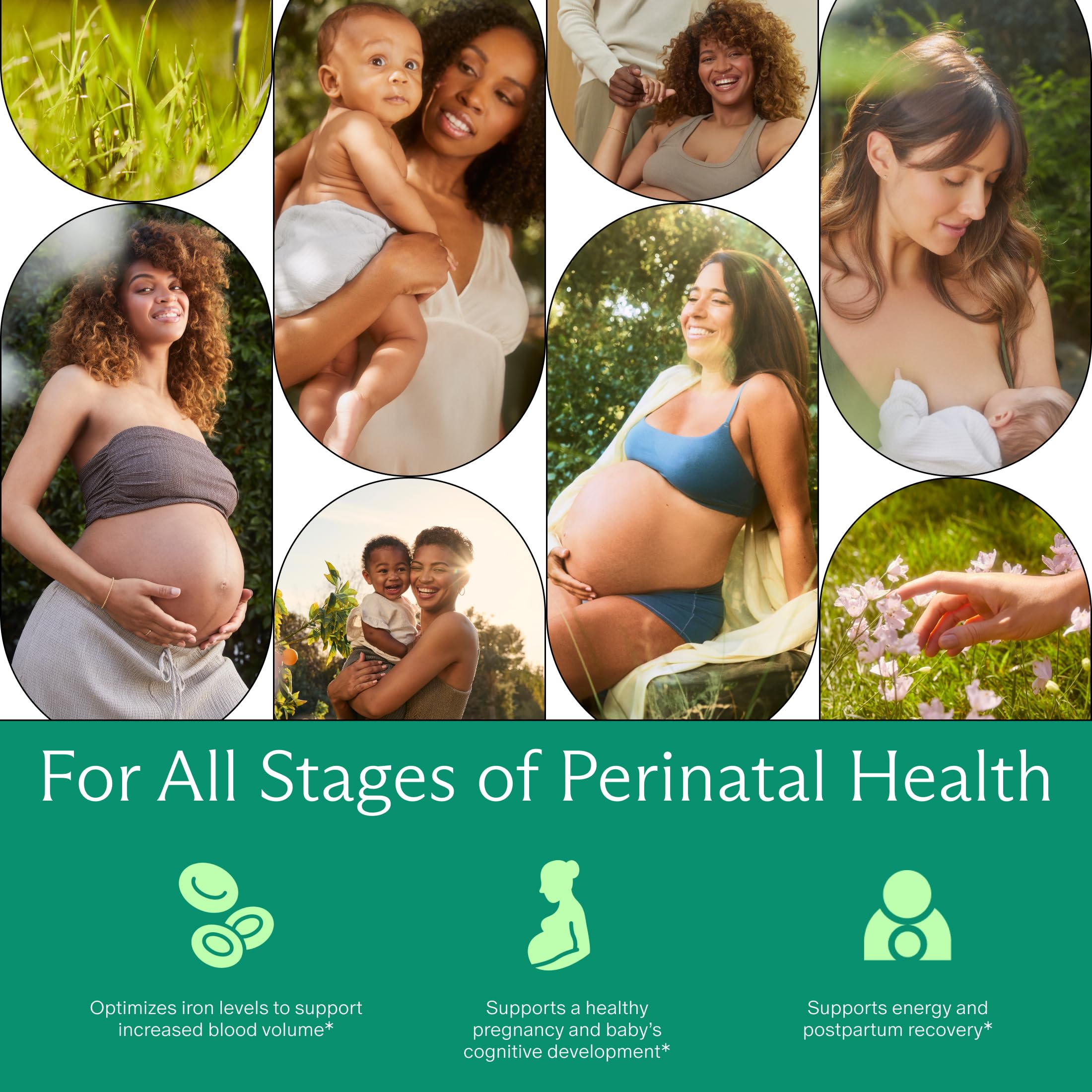 Prenatal Iron Ferrous Bisglycinate Chelate | Gentle & Clean

