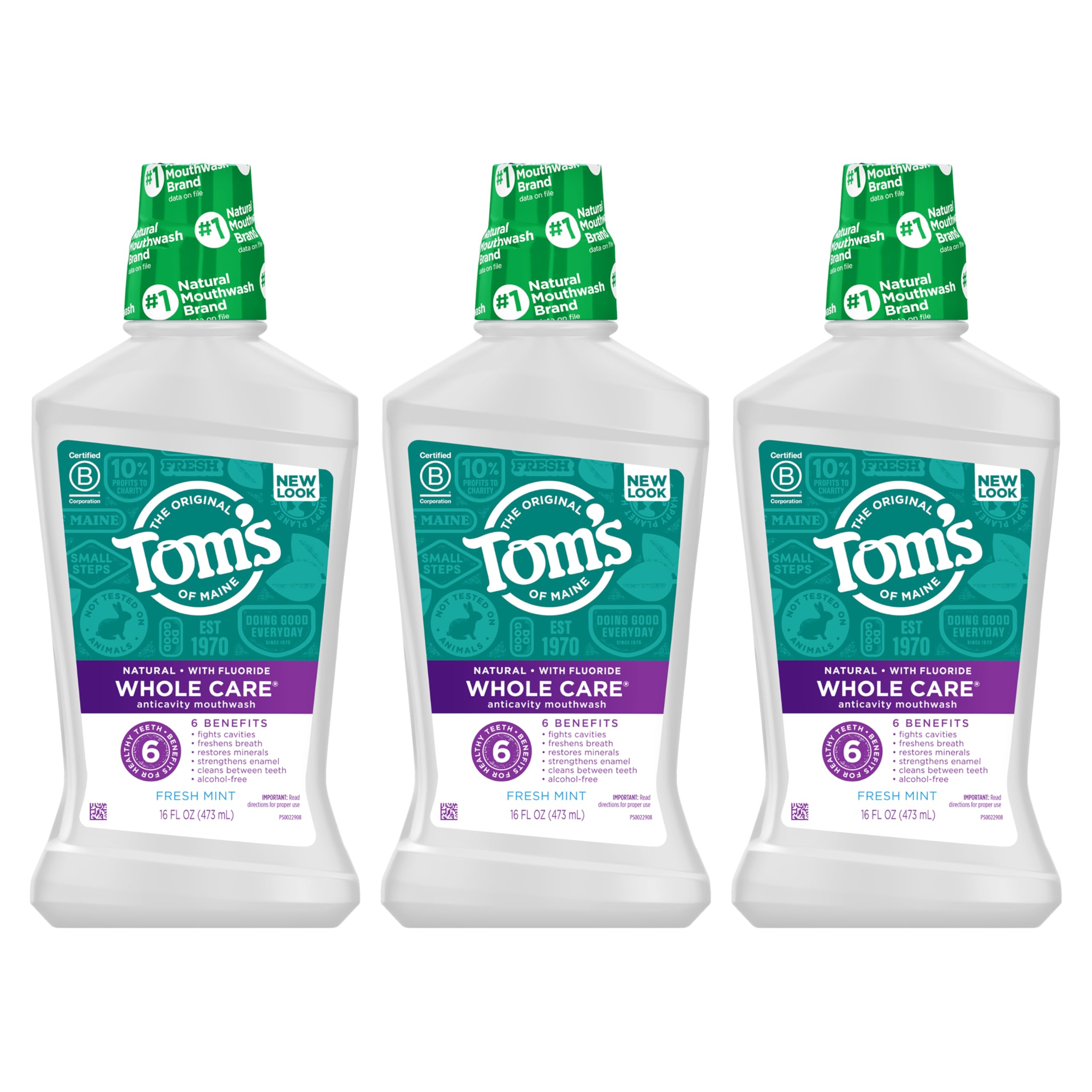 Tom's of Maine Whole Care Fluoride Mouthwash | Alcohol-Free

