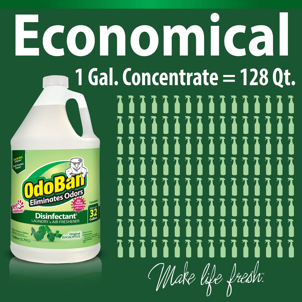 OdoBan Disinfectant Concentrate and Odor Eliminator

