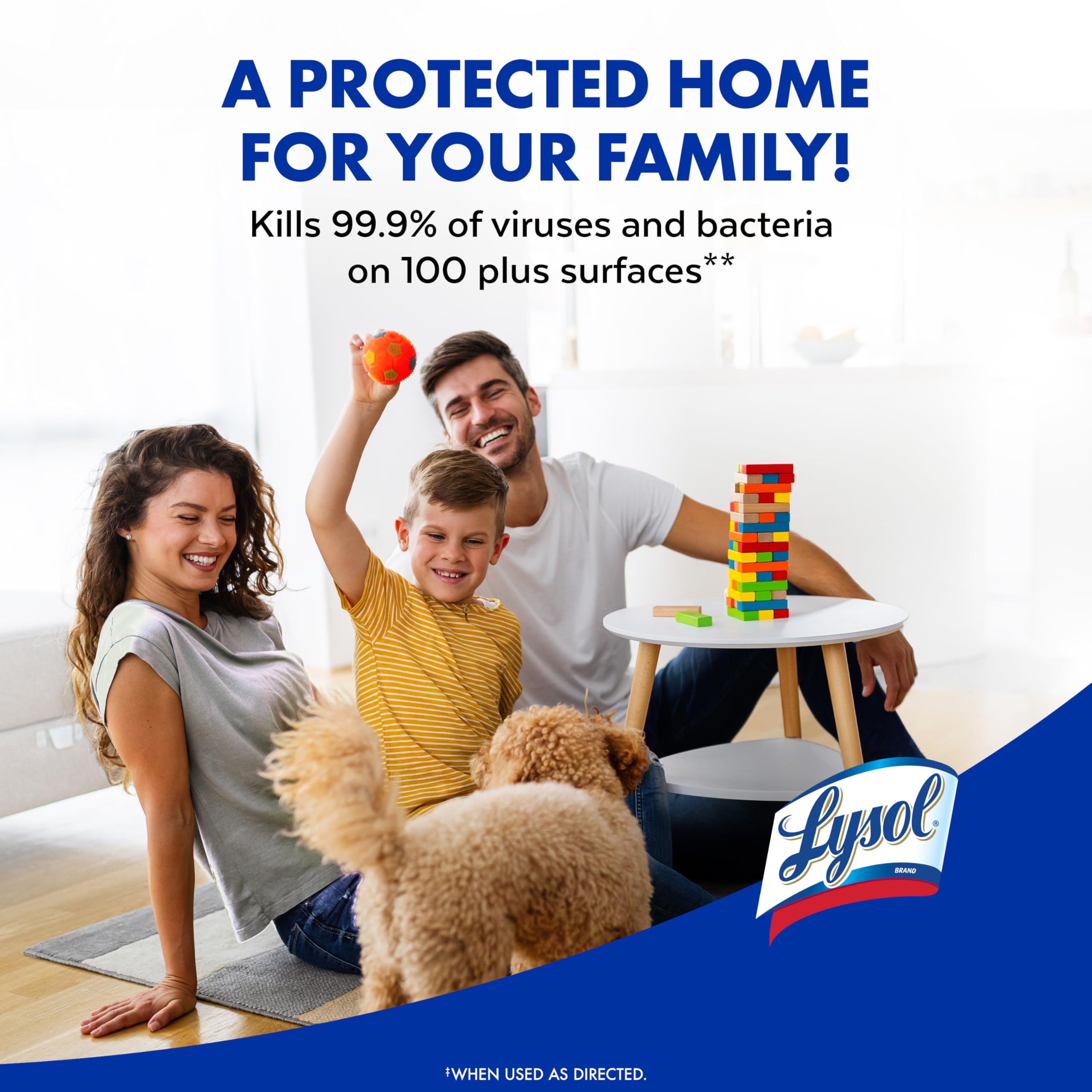 Lysol Disinfectant Spray - Multi-Purpose Room & Upholstery

