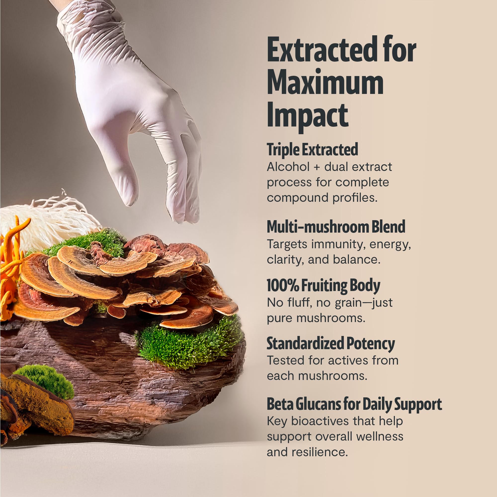 FreshCap Organic Mushroom Supplement - 12:1 Extract

