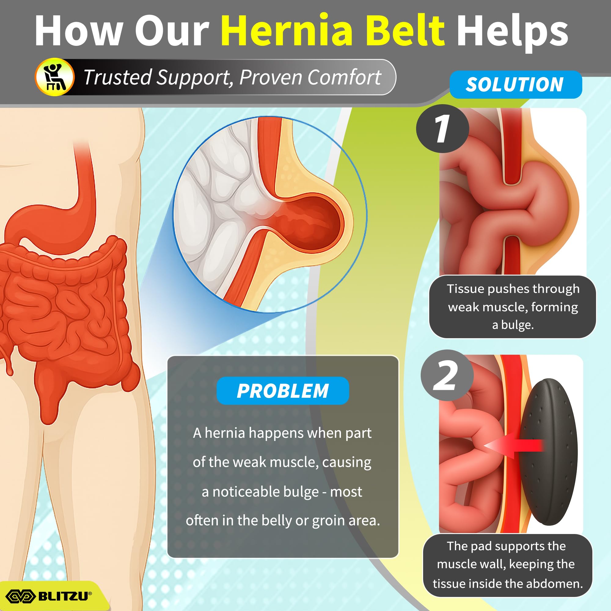 BLITZU Umbilical Hernia Belt - Abdominal Support


