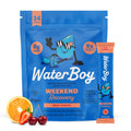 Waterboy Weekend Recovery Electrolyte Powder Drink Mix