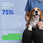 Milk Thistle Liver & Kidney Support for Pets | Coco and Luna

