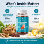 AFXMATE Daily Wellness Dietary Supplement

