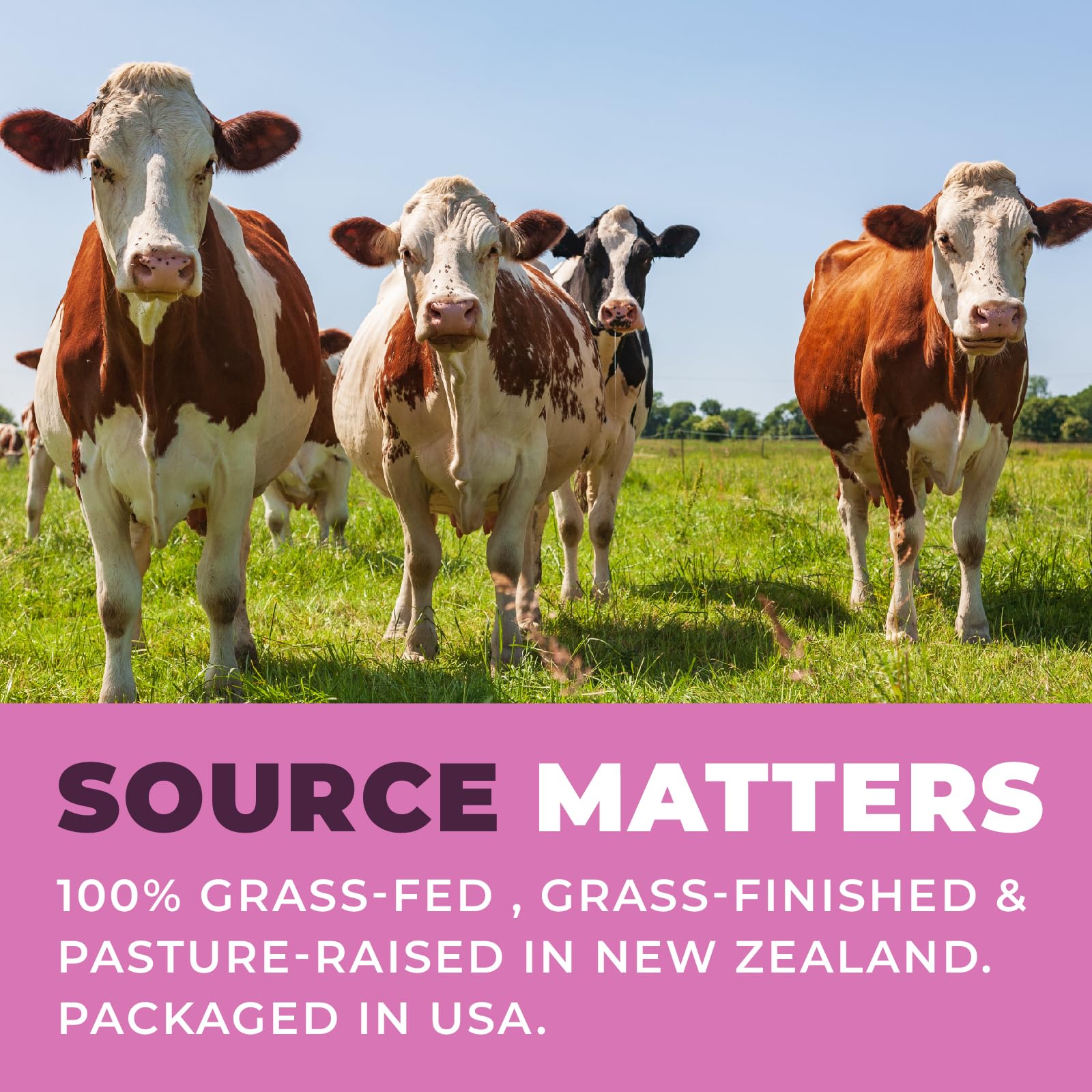 Beef-Derived Women's Wellness Supplement

