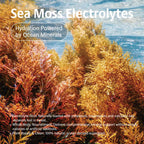 VDY Sea Moss Electrolyte Powder Drink Mix

