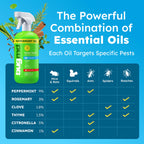 BugMD Peppermint Oil Rodent Spray - Natural Deterrent


