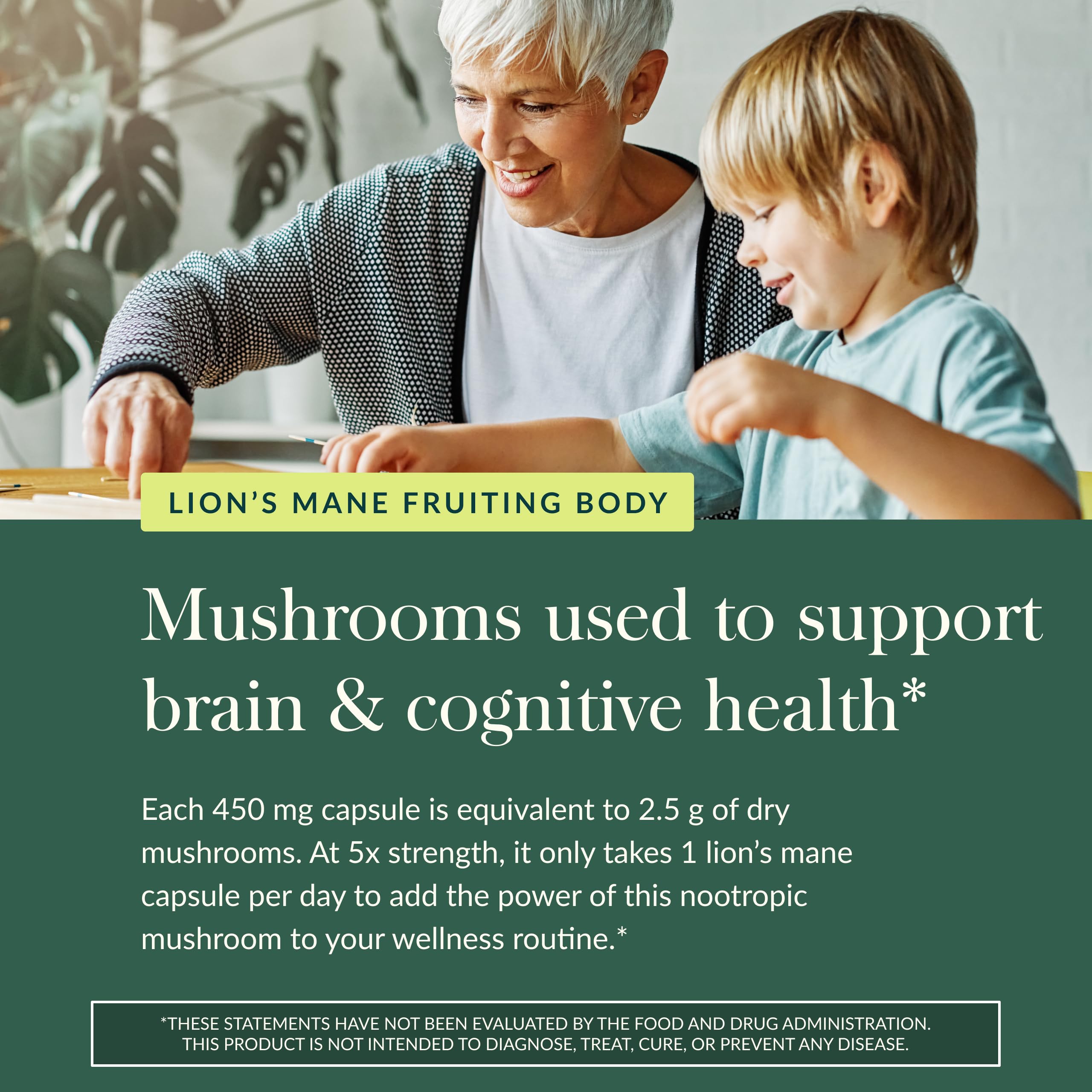 Gaia Herbs Lion's Mane Mushroom Brain Health Support

