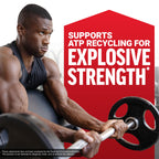 Force Factor Creatine Monohydrate Powder – Micronized 5g Dose

