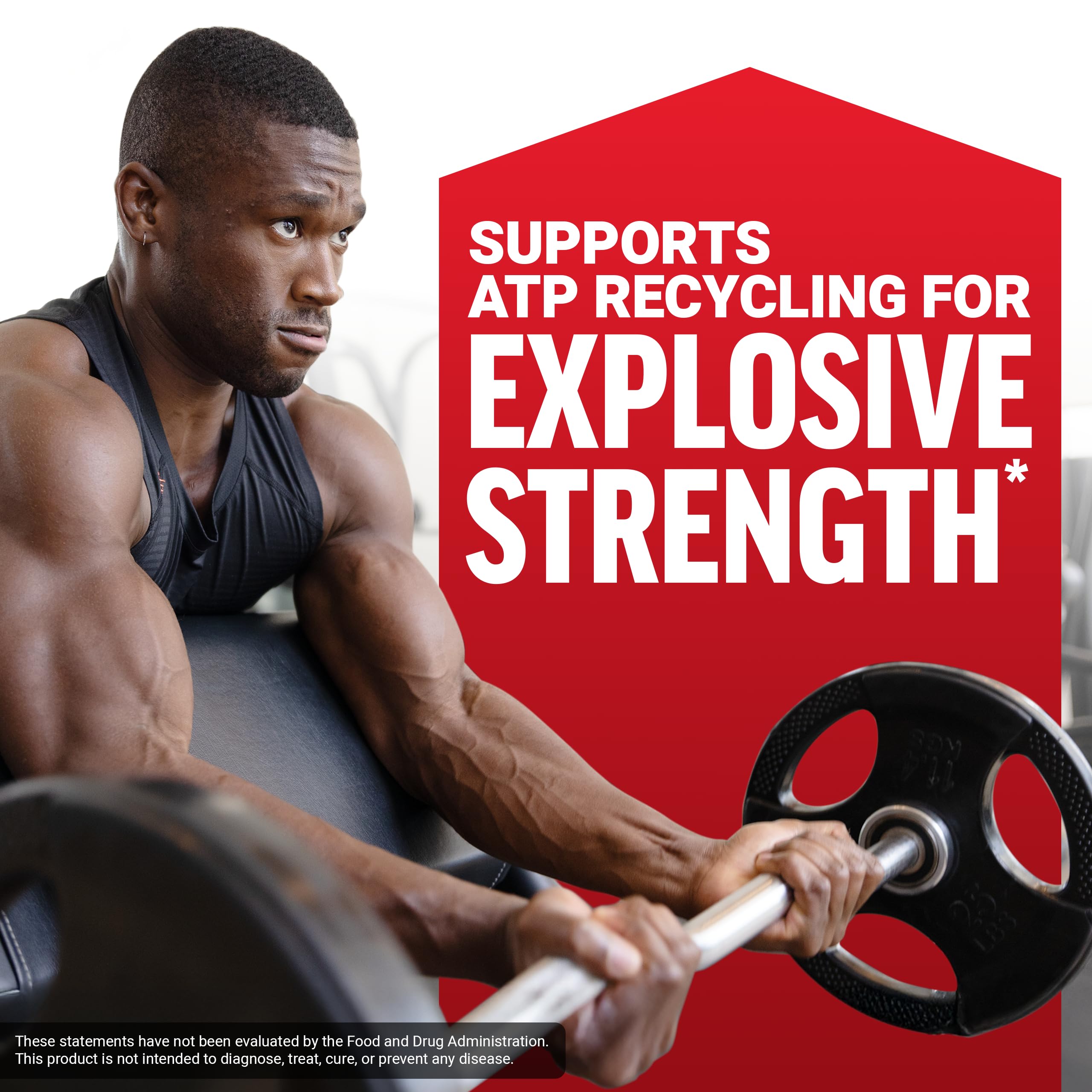 Force Factor Creatine Monohydrate Powder – Micronized 5g Dose

