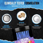 Animal Creatine Chews Tablets Monohydrate with AstraGin

