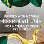 Air Wick Plug-In Scented Oil Refills - Long-Lasting Fragrance

