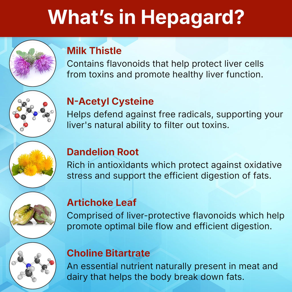 Hepagard Liver Support with NAC - Vegan & Non-GMO

