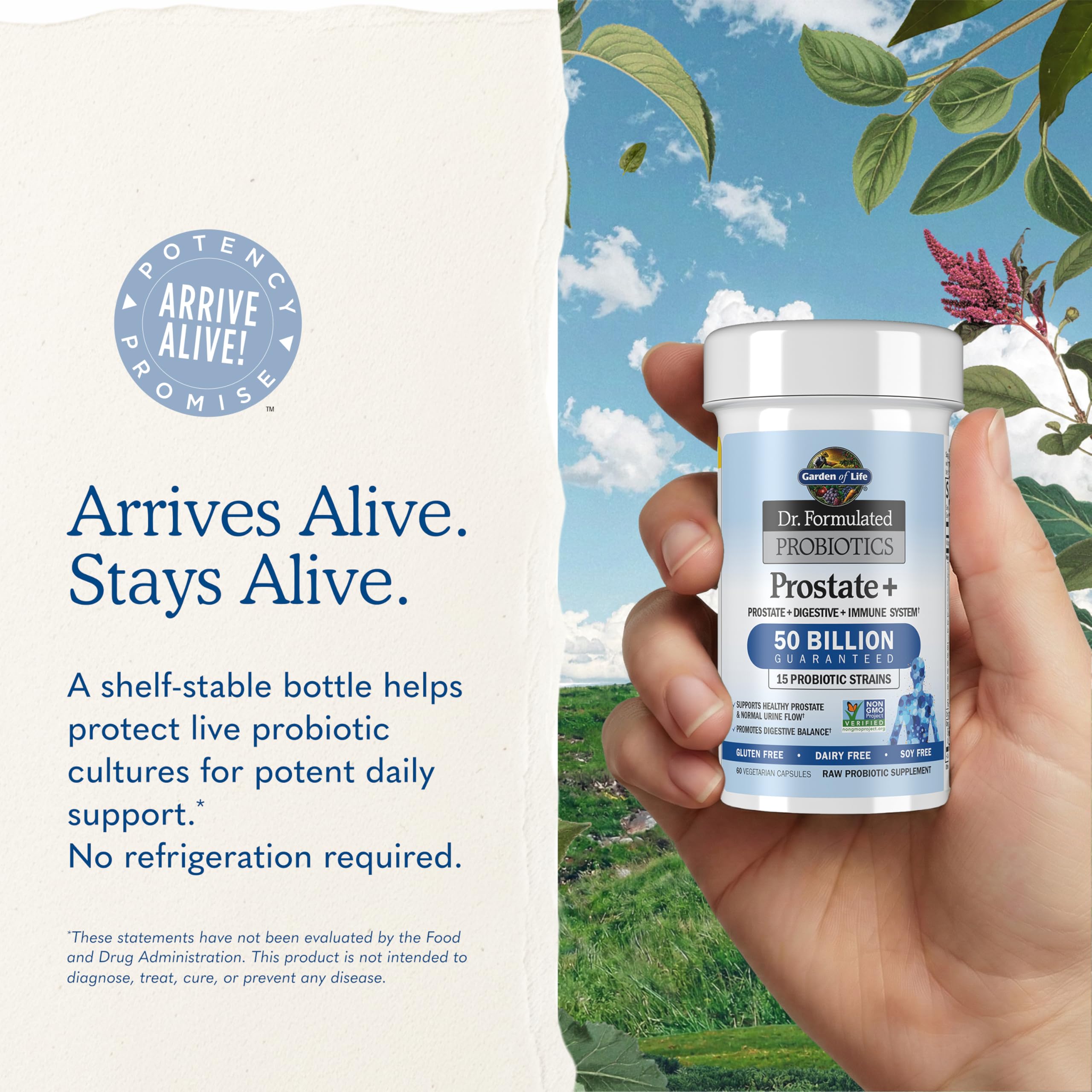Garden of Life Prostate Plus Probiotic Vcap

