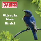 Kaytee Wild Bird Mealworms for Backyard Birds

