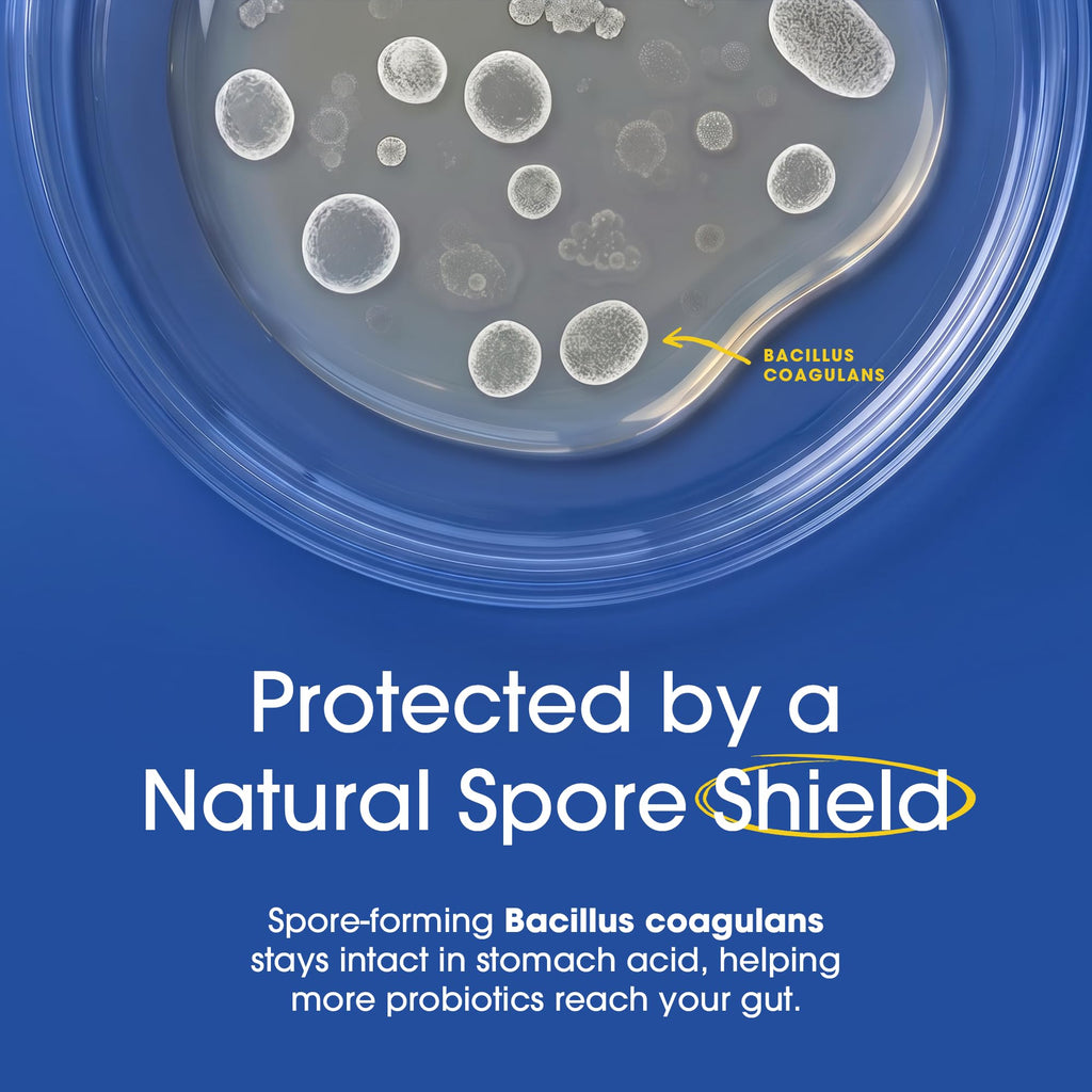 Probiotic & Prebiotic Digestive Support - Vegan Formula


