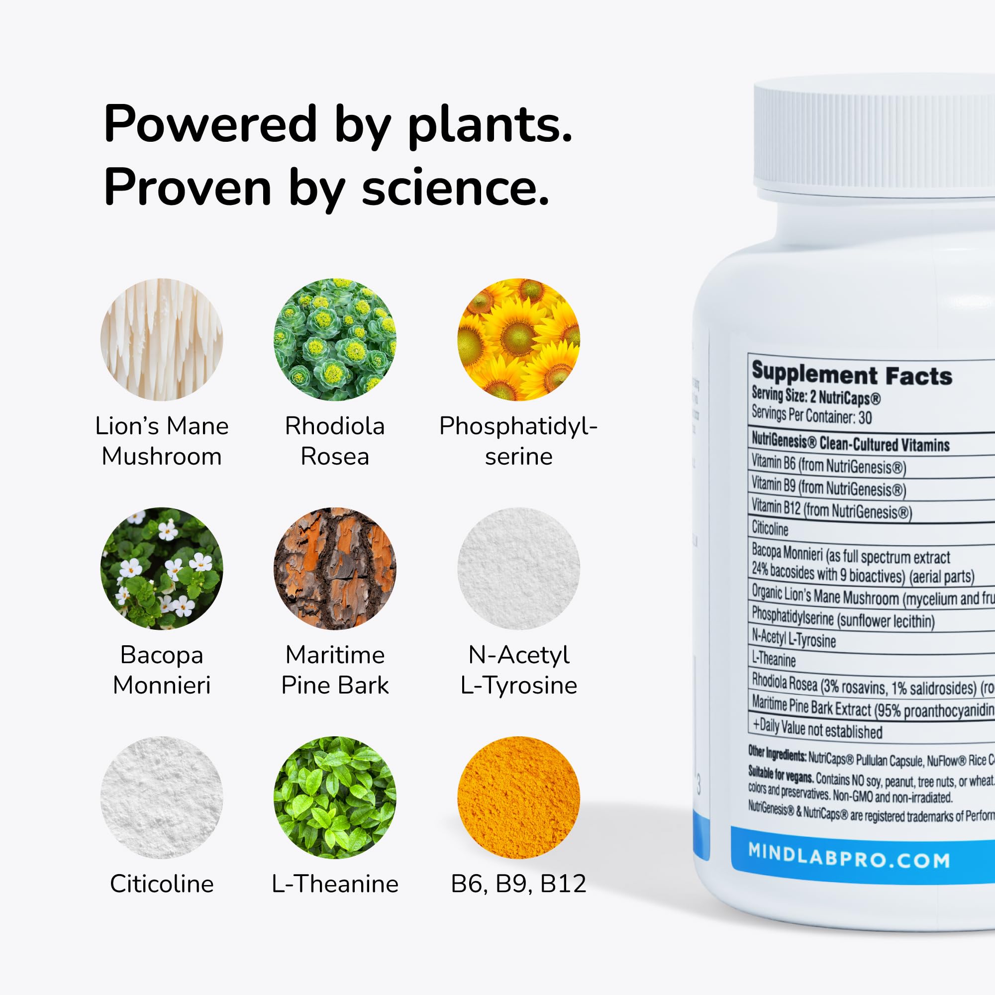 Mind Lab Pro Universal Nootropic Brain Booster | Focus

