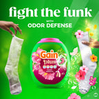 Gain Plus Flings Pods | All-in-One Laundry Detergent

