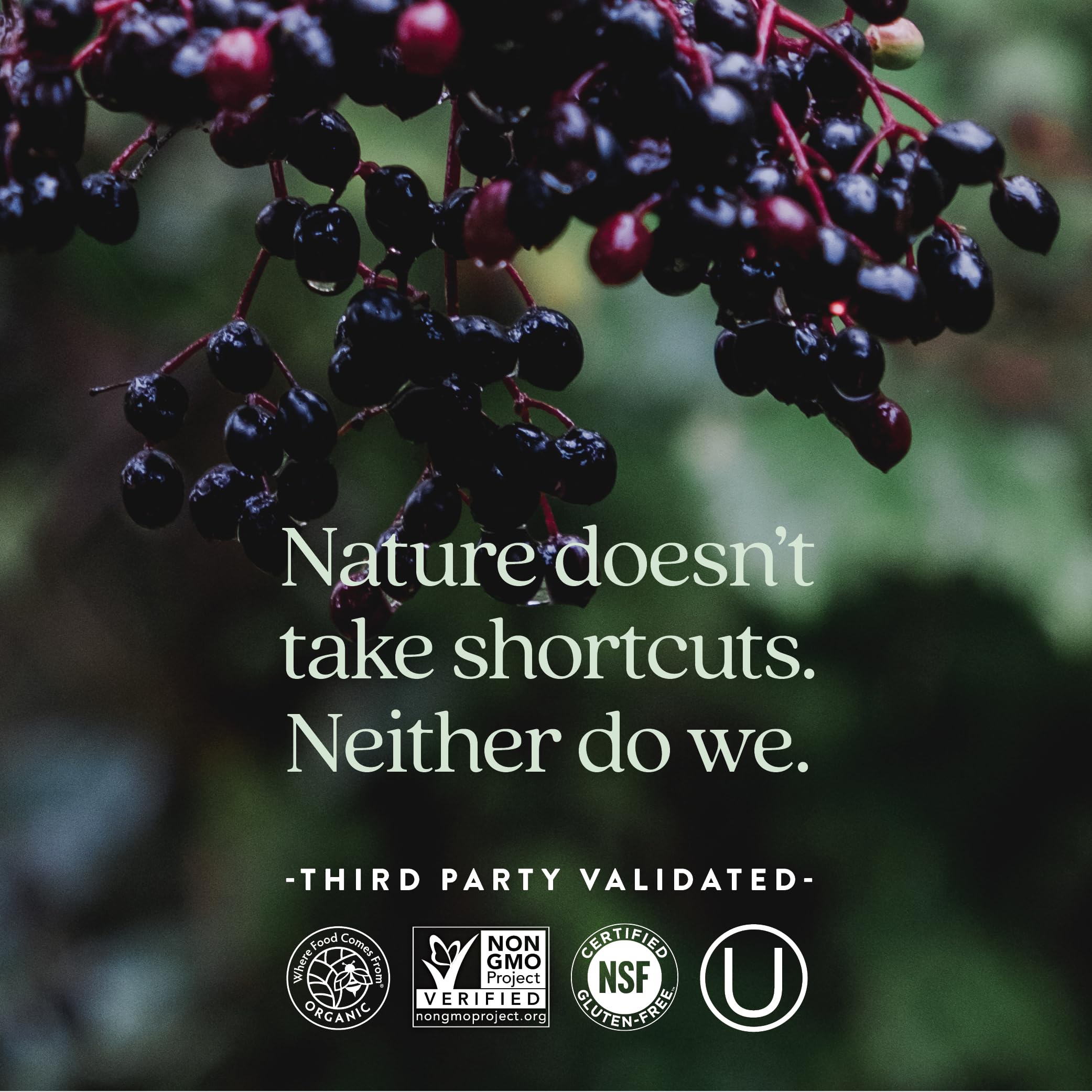 New Chapter Multivitamin: Every Woman's One Daily

