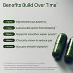 Seed DS-01 Synbiotic Probiotic + Prebiotic

