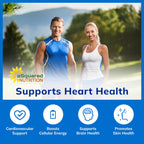 aSquared Nutrition CoQ10 High Absorption Vegan

