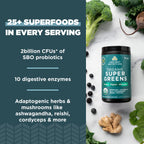 Ancient Nutrition Super Greens Powder - Organic Probiotics

